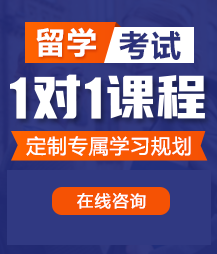 我用大鸡巴塞满了美少妇的小骚穴视频留学考试一对一精品课